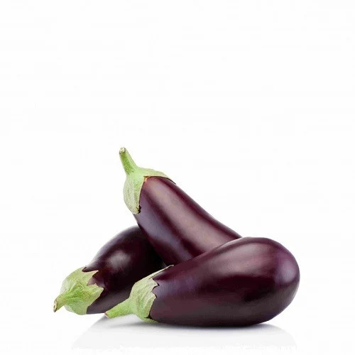 باذنجان اسود القصيم