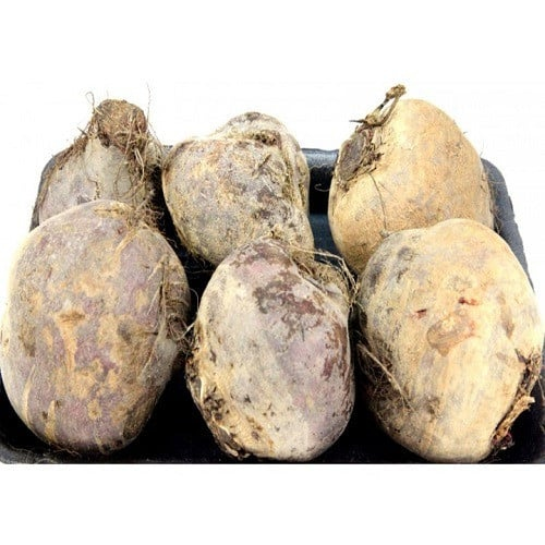 بنجر القصيم