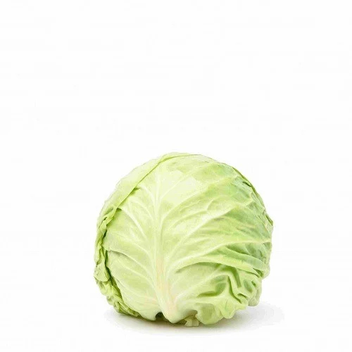 ملفوف القصيم