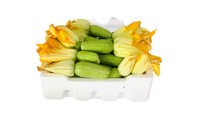 كوسه القصيم