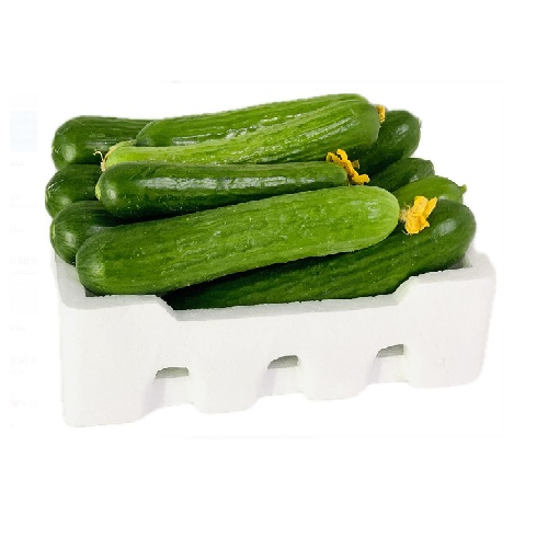 خيار القصيم