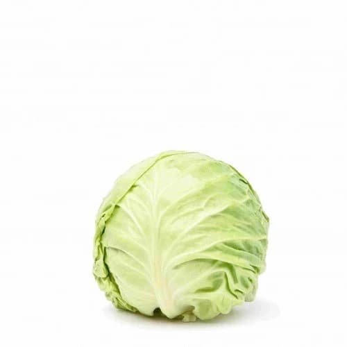 ملفوف القصيم